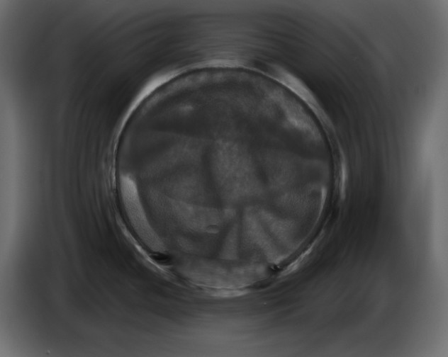 X0000084521436200703231621