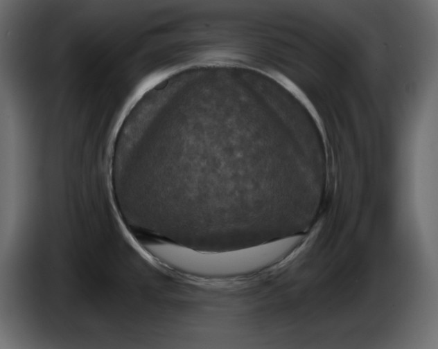 X0000084521437200703231621