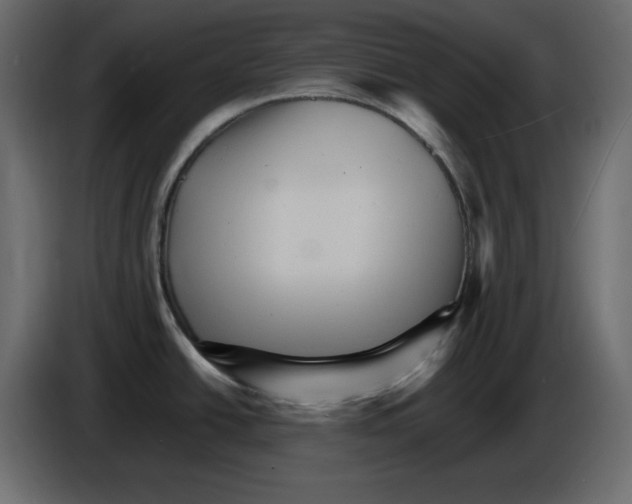 X0000084521438200703231621