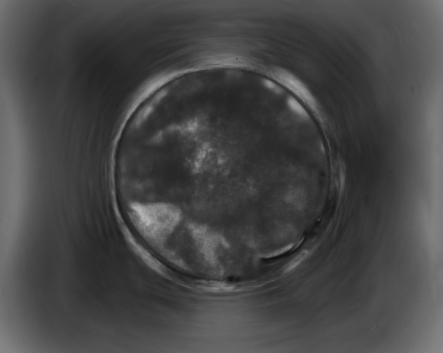 X0000084521439200703231621