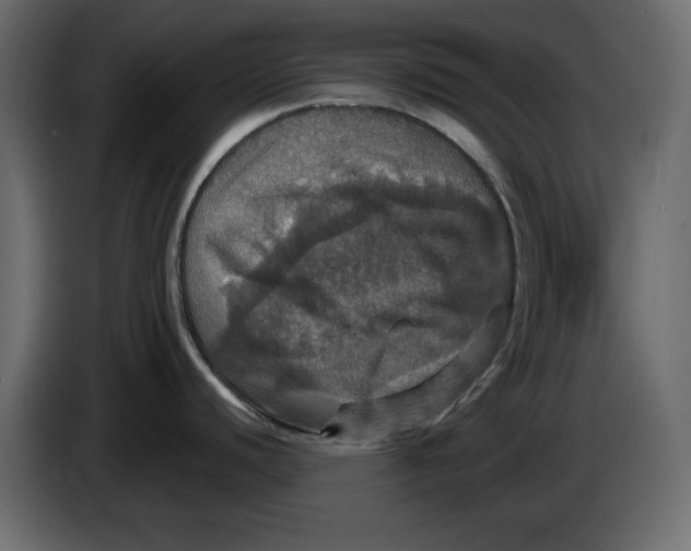X0000084521440200703231621