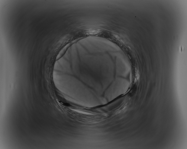 X0000084521441200703231620