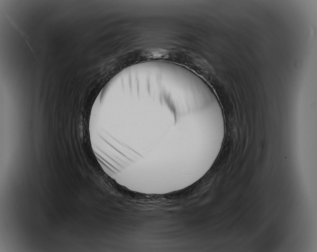 X0000084521442200703231620