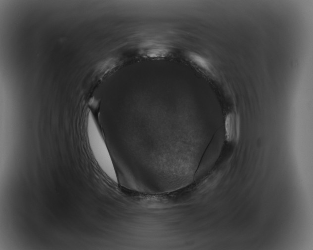 X0000084521443200703231620