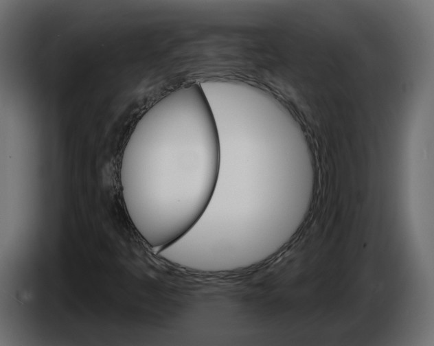 X0000084521445200703231620