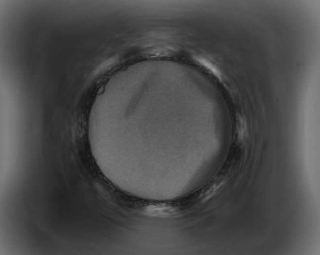 X0000084521447200703231620