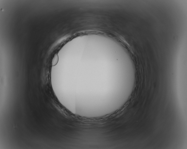 X0000084521448200703231620