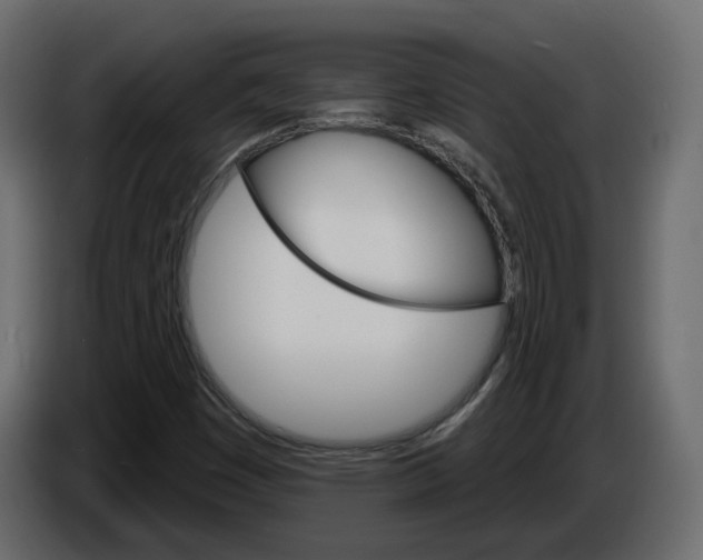 X0000084521449200703231620
