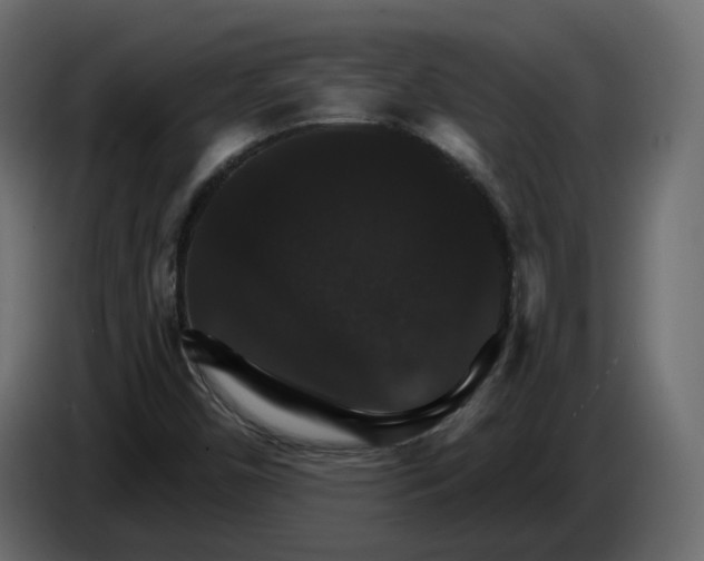 X0000084521450200703231620