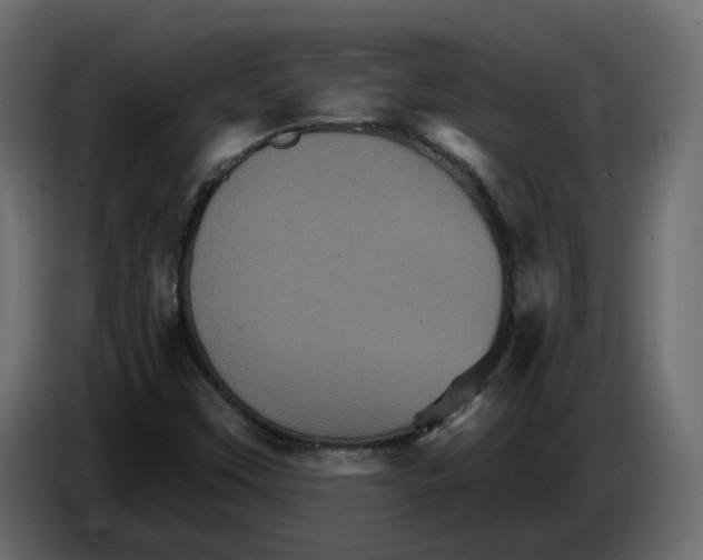 X0000084521451200703231620