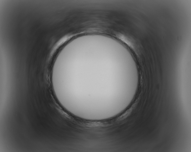 X0000084521454200703231620