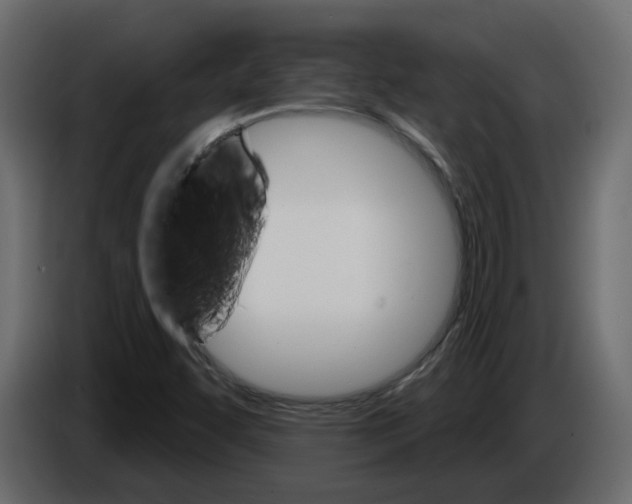 X0000084521455200703231620