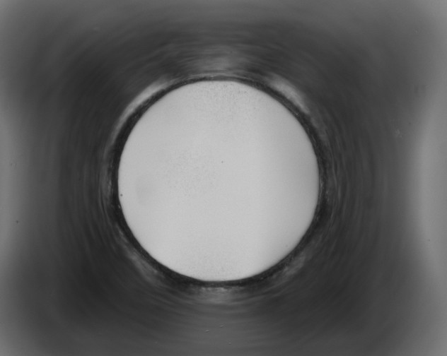 X0000084521458200703231620