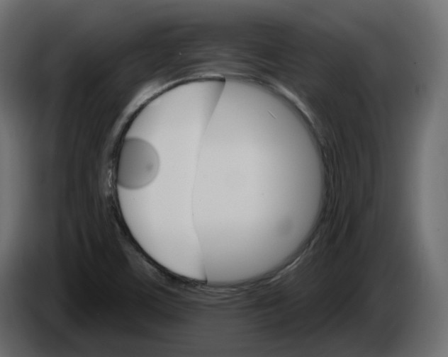 X0000084521459200703231620