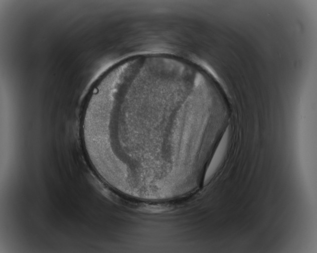 X0000084521460200703231620