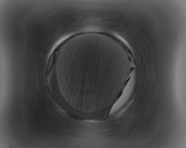 X0000084521461200703231620