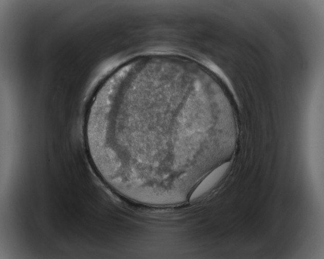 X0000084521464200703231620