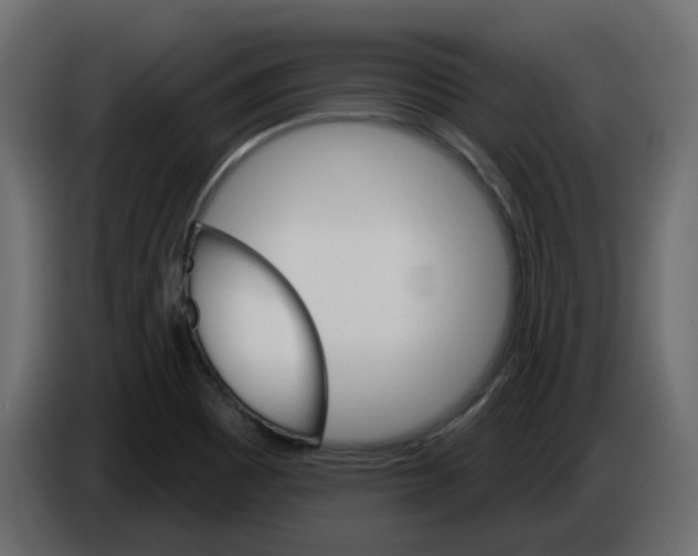 X0000084521465200703231620