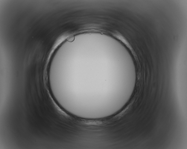 X0000084521466200703231620