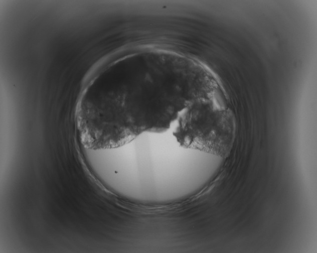 X0000084521467200703231620