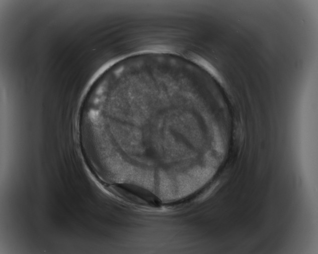 X0000084521468200703231620