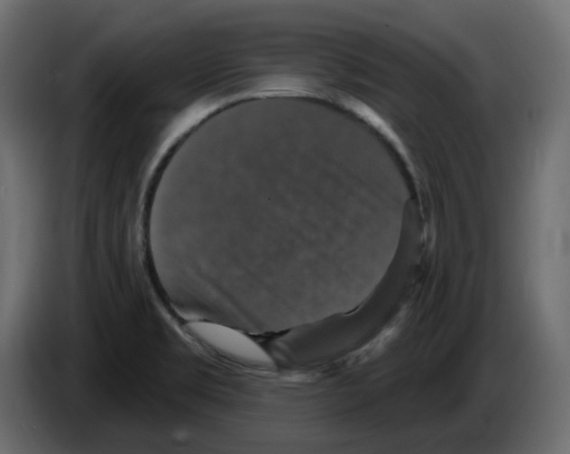 X0000084521469200703231620