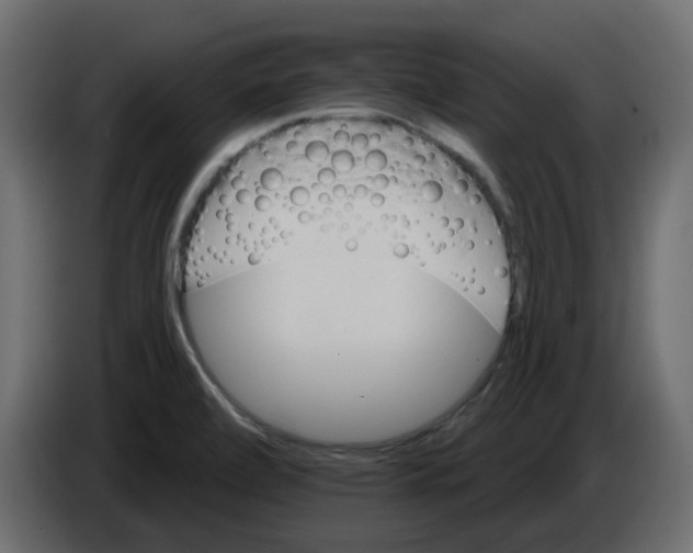 X0000084521472200703231620