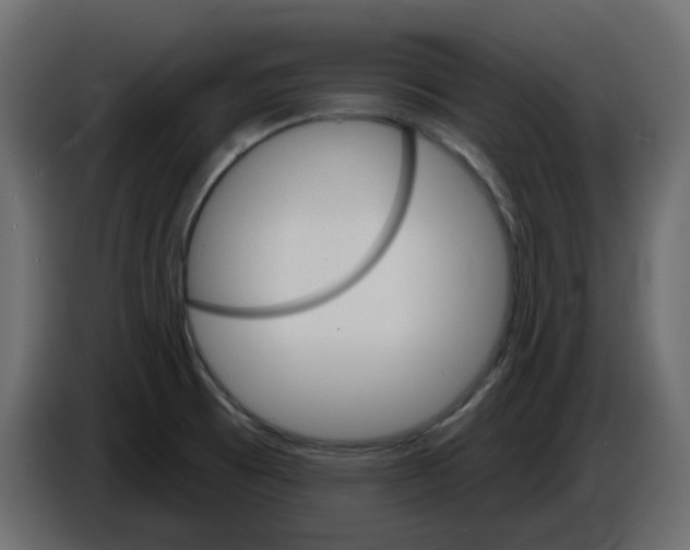 X0000084521473200703231620