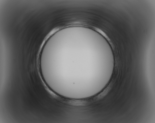 X0000084521474200703231620