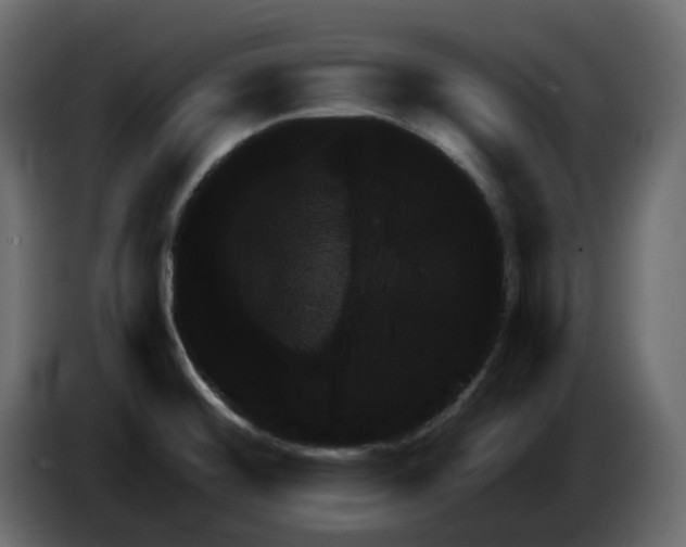 X0000084521476200703231620