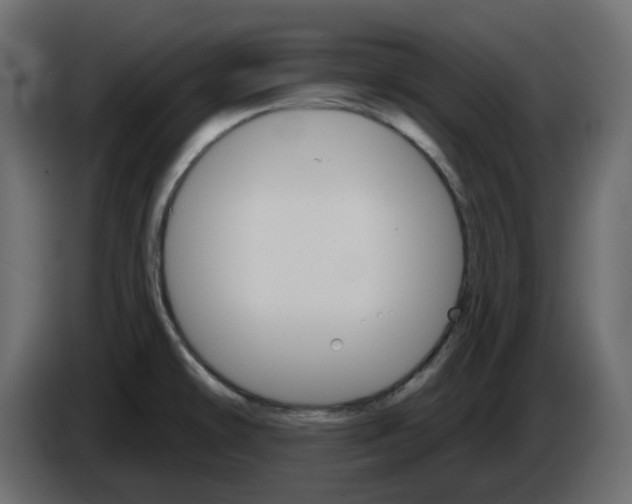 X0000084521478200703231619