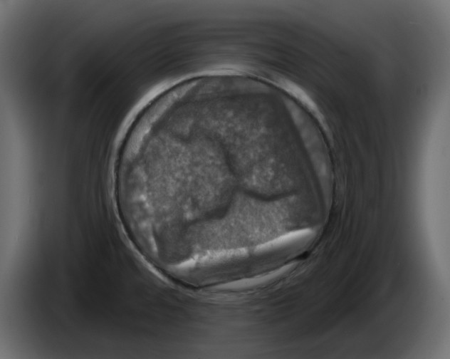 X0000084521480200703231619