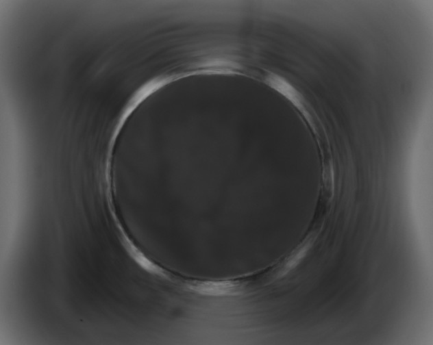 X0000084521482200703231619