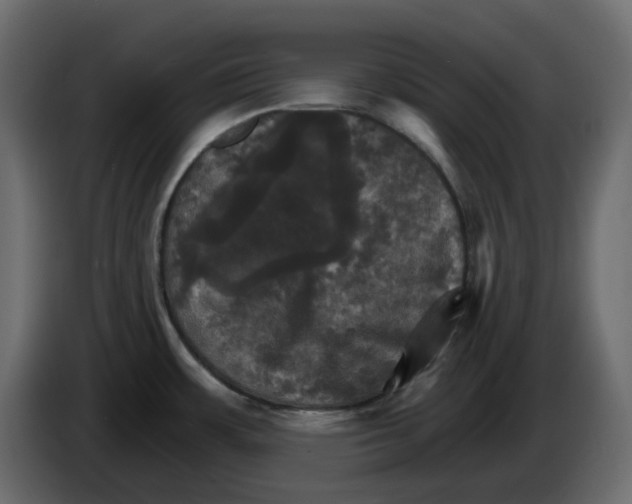 X0000084521483200703231619