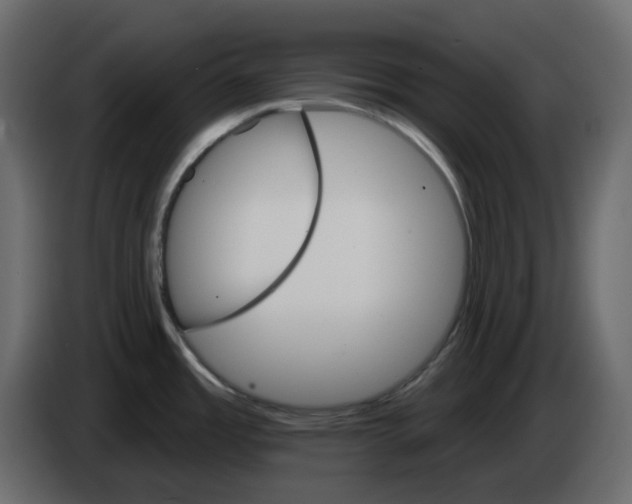 X0000084521485200703231619