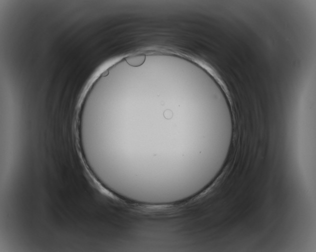 X0000084521486200703231619