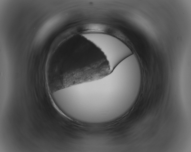 X0000084521487200703231619