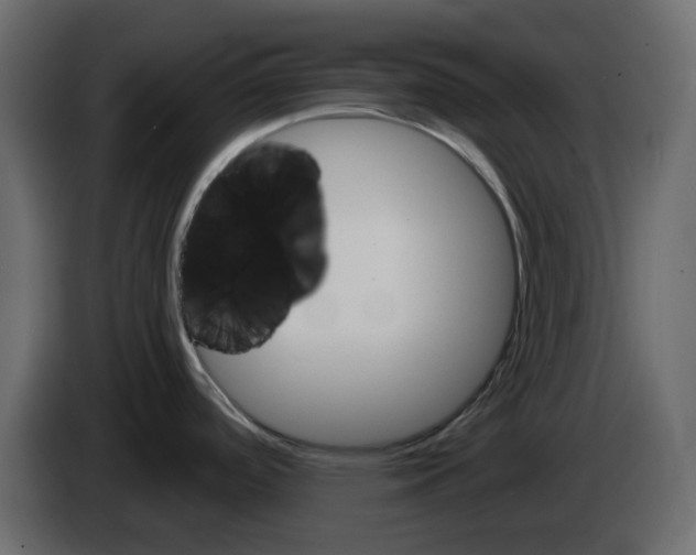 X0000084521488200703231619