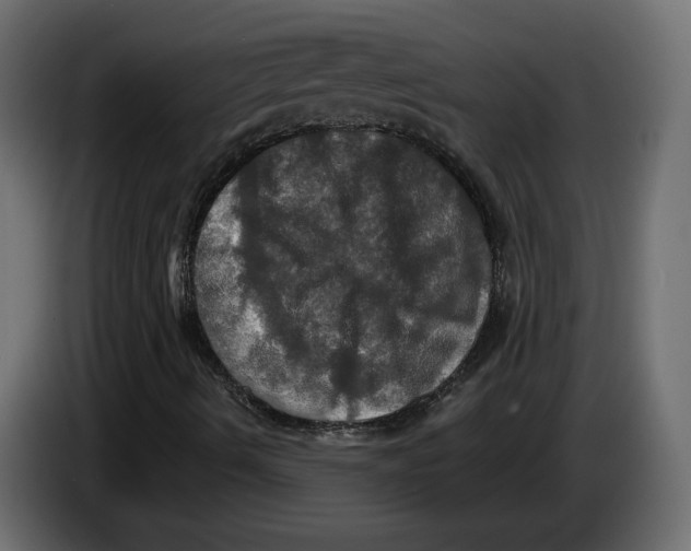 X0000084521490200703231619