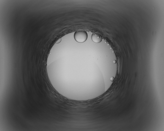 X0000084521491200703231619