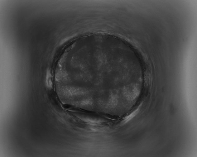 X0000084521494200703231619