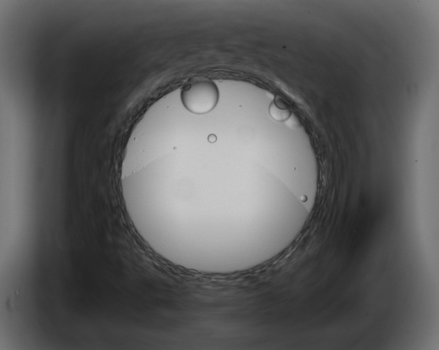 X0000084521495200703231619