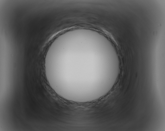 X0000084521496200703231619