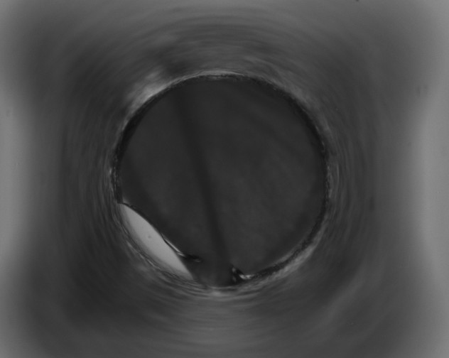 X0000084521497200703231619