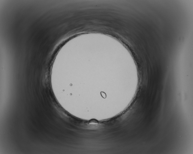 X0000084521498200703231619