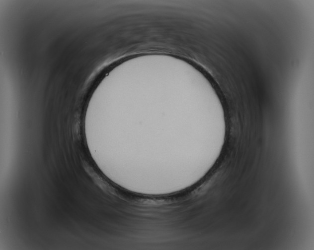 X0000084521499200703231619