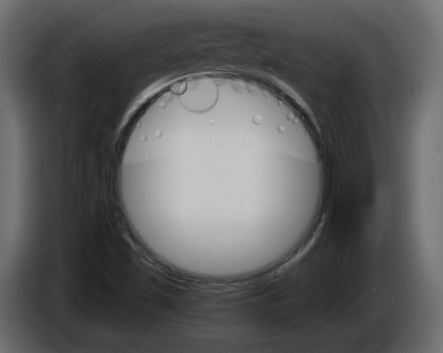 X0000084521501200703231619