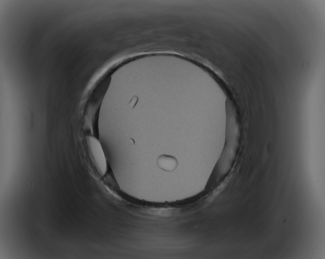 X0000084521502200703231619