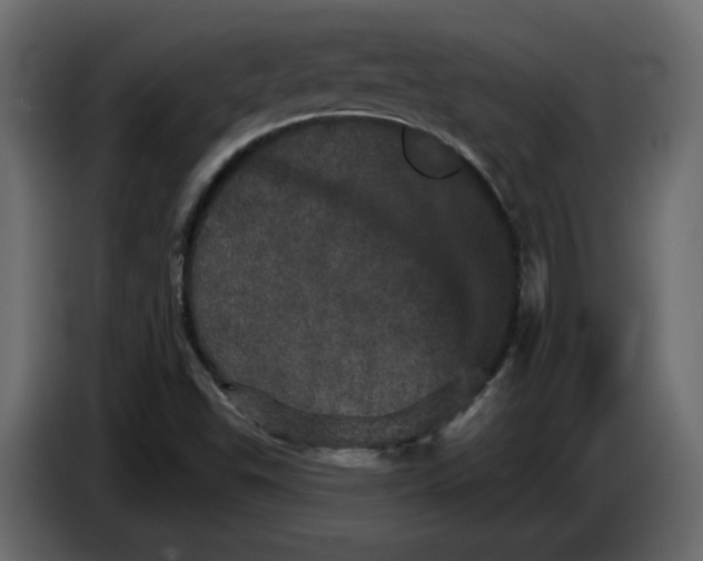 X0000084521503200703231619