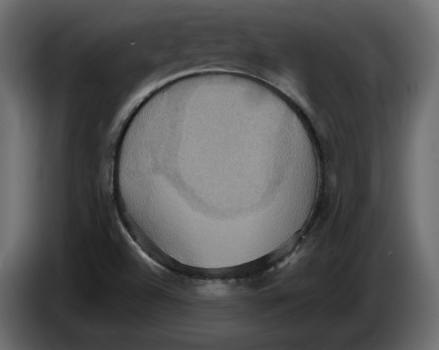 X0000084521504200703231619